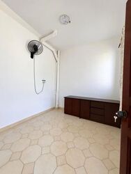 Palm Grove Avenue (D19), Terrace #613329111